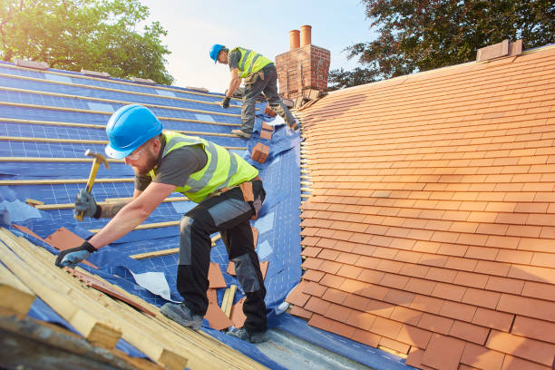 Best Metal Roofing Installation  in Bodega Bay, CA